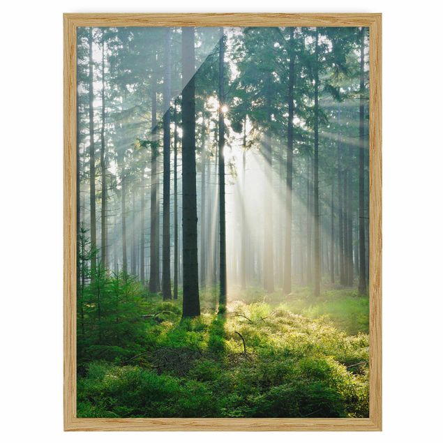 Wanddeko Esszimmer Enlightened Forest