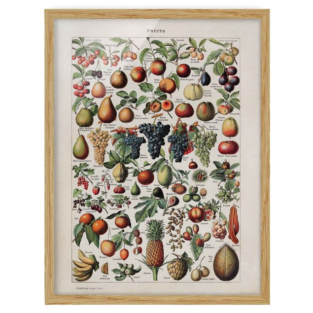 Wanddeko Büro Vintage Lehrtafel Früchte