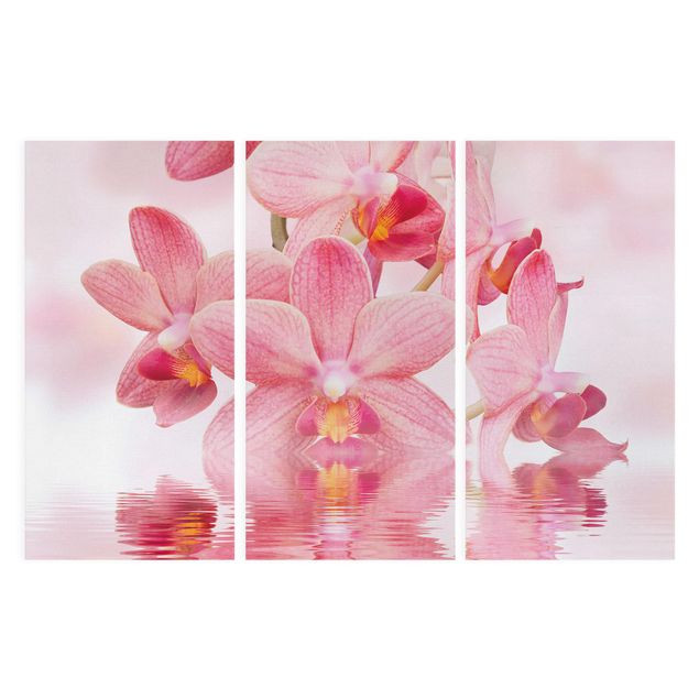 Wanddeko Schlafzimmer Rosa Orchideen auf Wasser