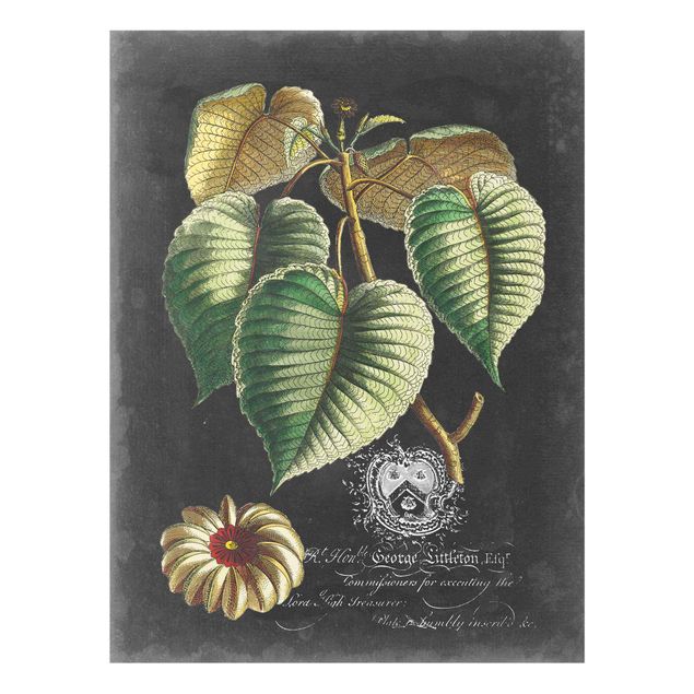 Wohndeko Pflanzen Vintage Royales Blattwerk auf Schwarz I