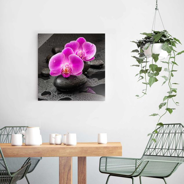 Küche Dekoration Pinke Orchideenblüten auf Steinen mit Tropfen
