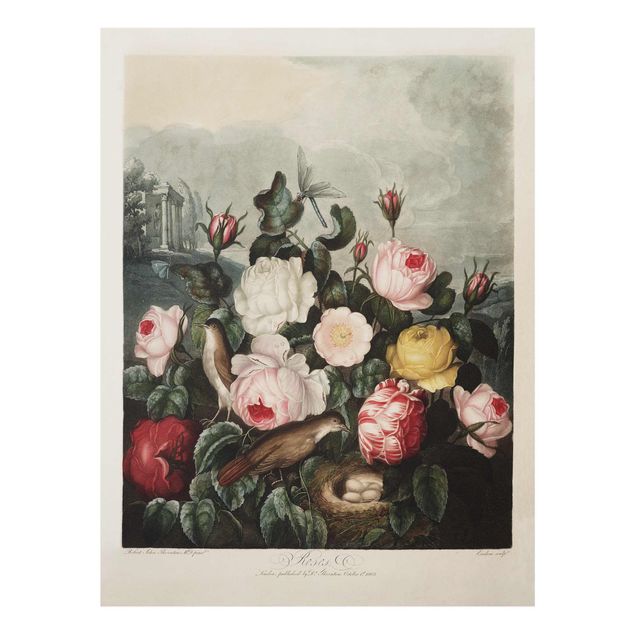 Wanddeko Büro Botanik Vintage Illustration Rosen