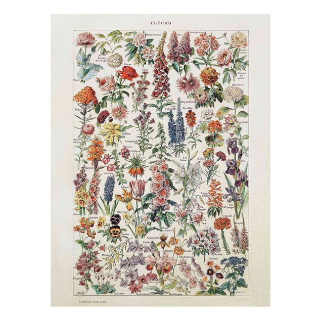 Wanddeko Flur Vintage Lehrtafel Blumen V