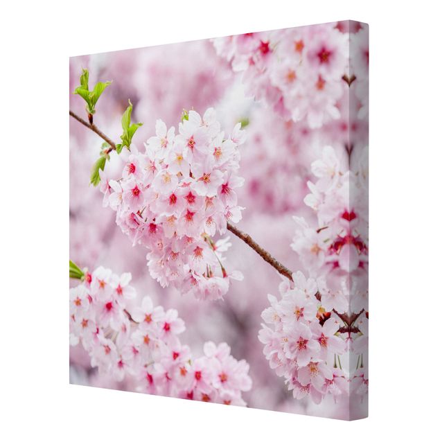 Wanddeko Esszimmer Japanische Kirschblüten