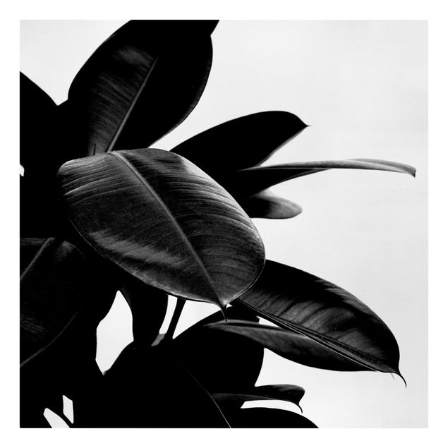 Wanddeko Esszimmer Gummibaum Blätter Schwarz Weiß