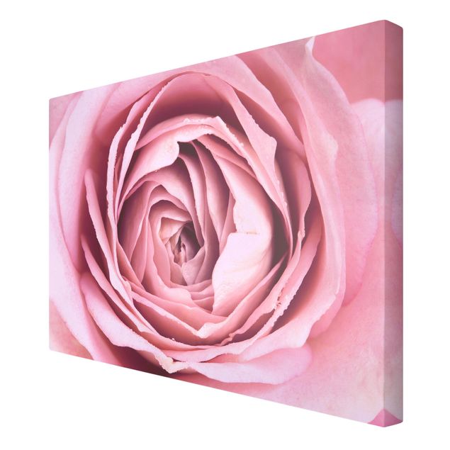 Wanddeko Esszimmer Rosa Rosenblüte