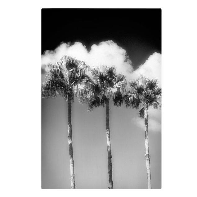 Wanddeko Büro Palmen vor Himmel Schwarz-Weiß