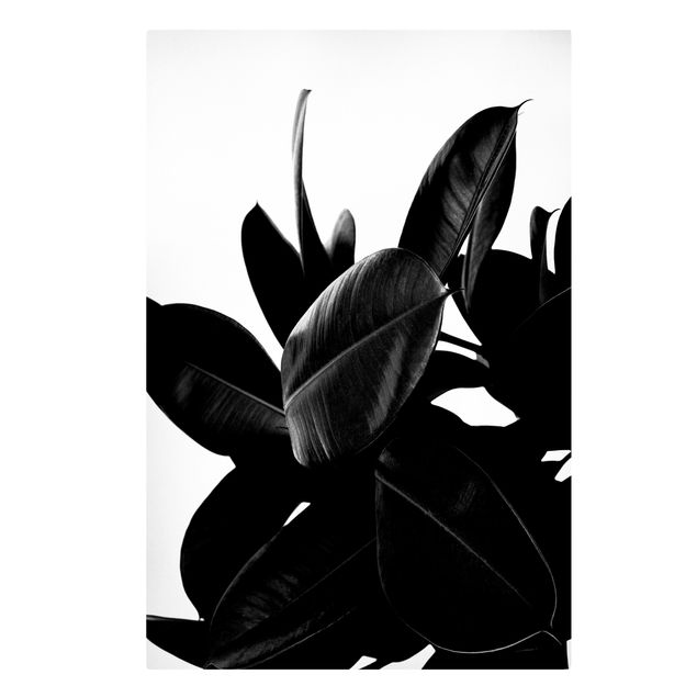Wanddeko Esszimmer Gummibaum Blätter Schwarz Weiß