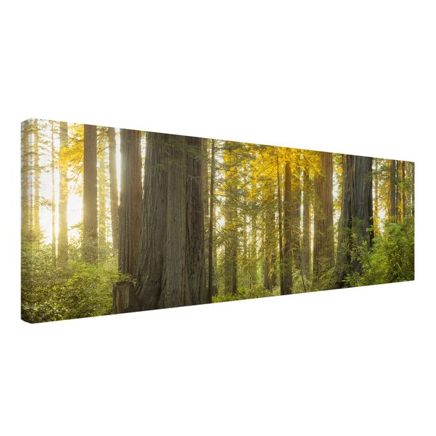 Wanddeko Esszimmer Redwood National Park