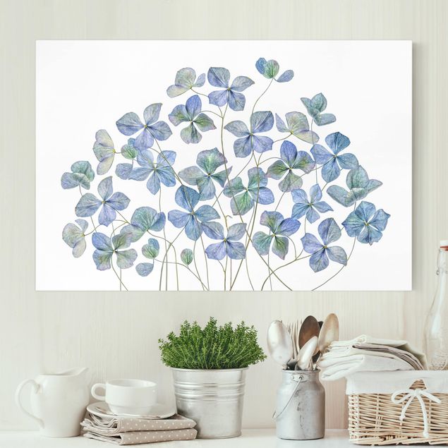 Wanddeko Wohnzimmer Blaue Hortensienblüten