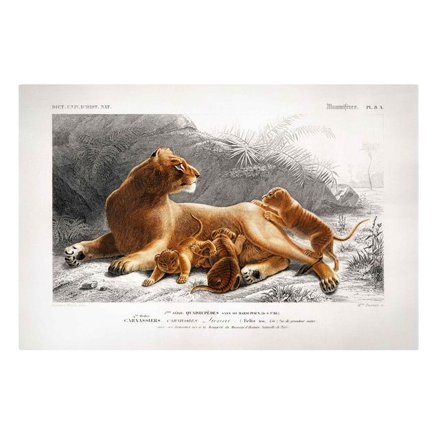 Wanddeko Flur Vintage Lehrtafel Löwin und Löwenbabies