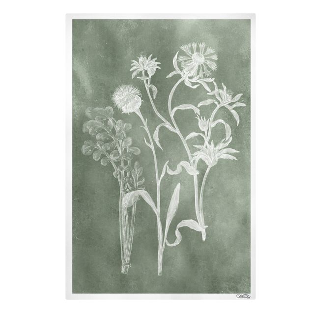 Wanddeko Pflanzen Vintage Illustration Salbei II
