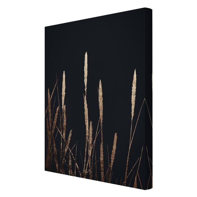 Wanddeko Gräser Grafische Pflanzenwelt - Goldenes Schilf