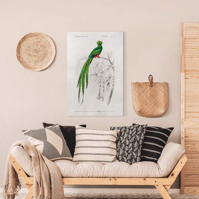 Wanddeko Schlafzimmer Vintage Lehrtafel Tropischer Vogel I