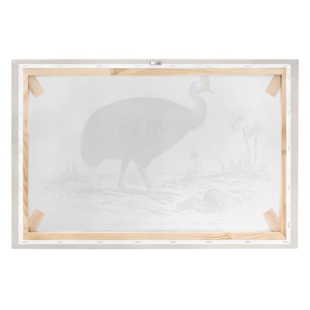 Leinwandbilder Vögel Vintage Lehrtafel Emu