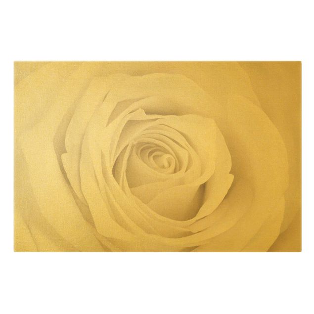 Wanddeko gold Pretty White Rose