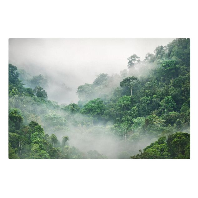 Wanddeko grün Dschungel im Nebel