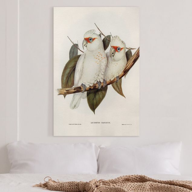 Wanddeko Wohnzimmer Vintage Illustration Weißer Kakadu