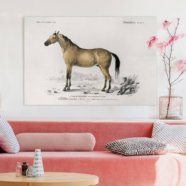 Wanddeko Wohnzimmer Vintage Lehrtafel Pferd