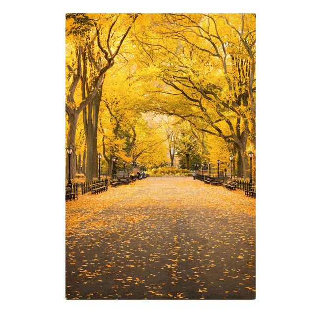 Wanddeko Esszimmer Herbst im Central Park