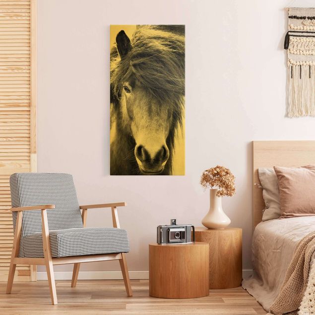 Wanddeko Schlafzimmer Island Pferd in Schwarz-weiß