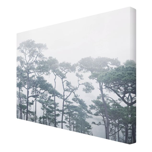 Wanddeko Büro Baumkronen im Nebel