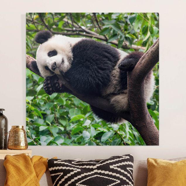Wanddeko Wohnzimmer Schlafender Panda auf Ast