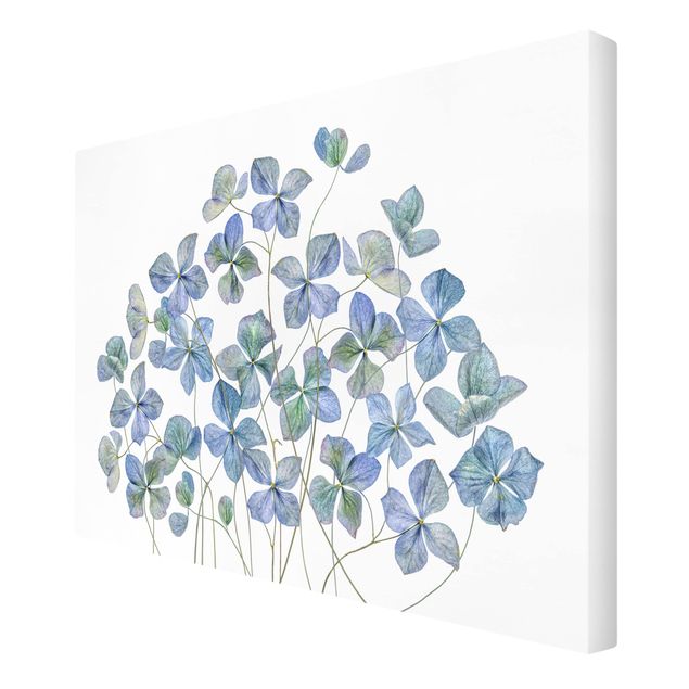 Wanddeko Esszimmer Blaue Hortensienblüten