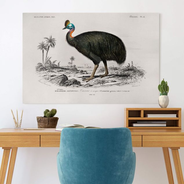 Wanddeko Wohnzimmer Vintage Lehrtafel Emu
