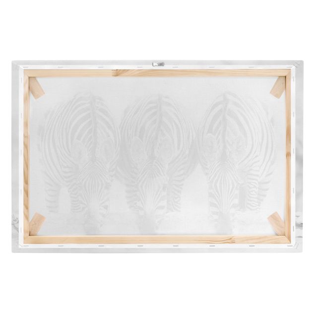 Zebra Bilder auf Leinwand Zebra Trio schwarz-weiß