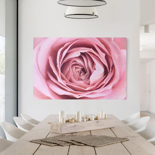 Rosen Bilder auf Leinwand Rosa Rosenblüte