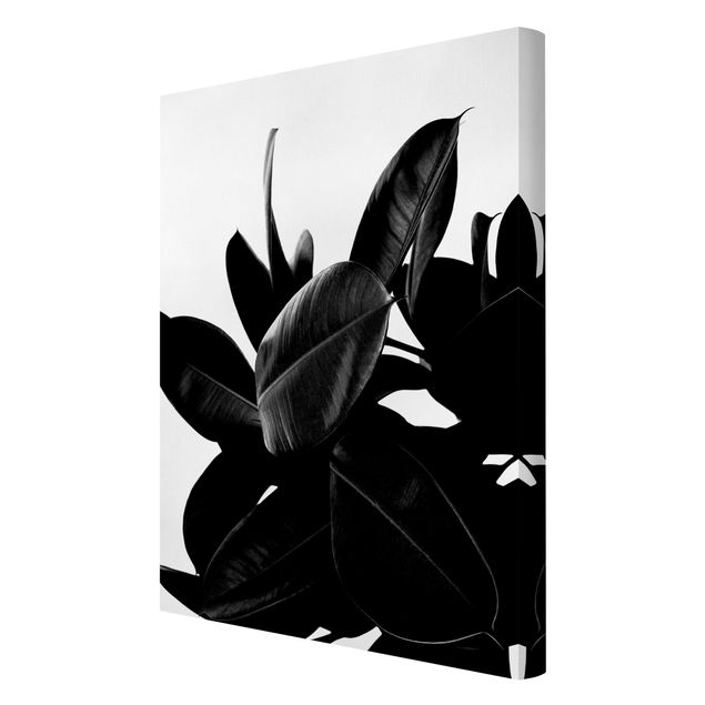 Wanddeko Büro Gummibaum Blätter Schwarz Weiß