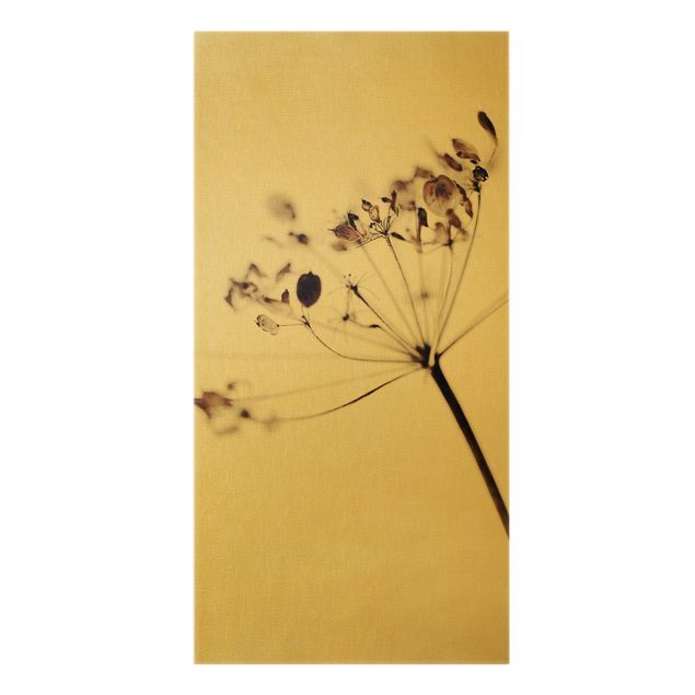 Wanddeko Gräser Makroaufnahme Trockenblume im Schatten