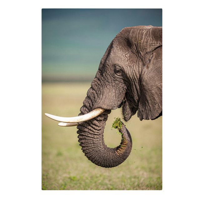 Wanddeko Flur Elefantenfütterung Afrika