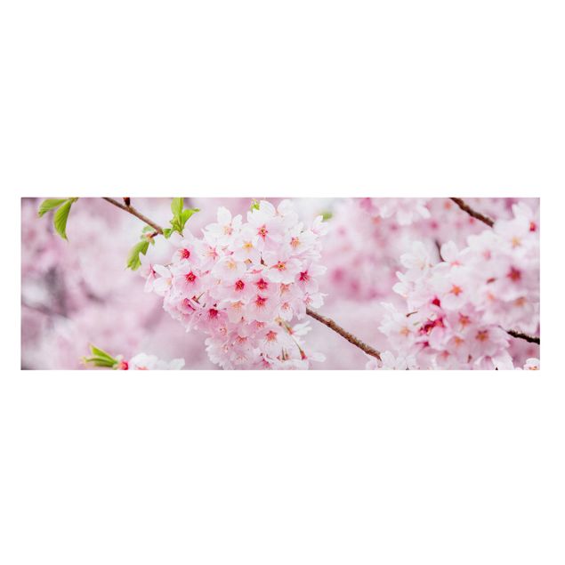 Wanddeko Flur Japanische Kirschblüten