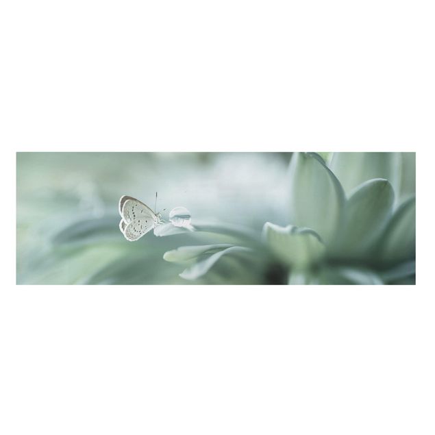 Wohndeko Gräser Schmetterling und Tautropfen in Pastellgrün