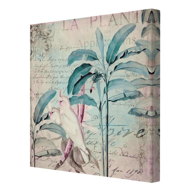 Deko Pflanzen Colonial Style Collage - Kakadus und Palmen