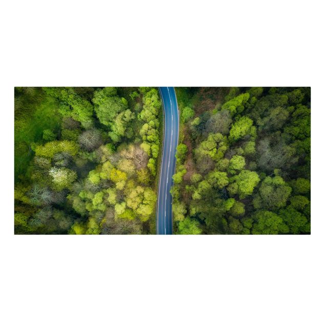 Wanddeko grün Luftbild - Asphaltstraße im Wald