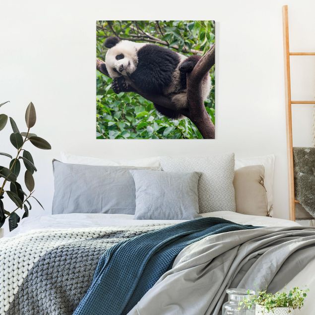 Wanddeko Schlafzimmer Schlafender Panda auf Ast