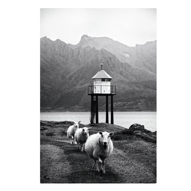 Wanddeko Büro Drei Schafe auf den Lofoten