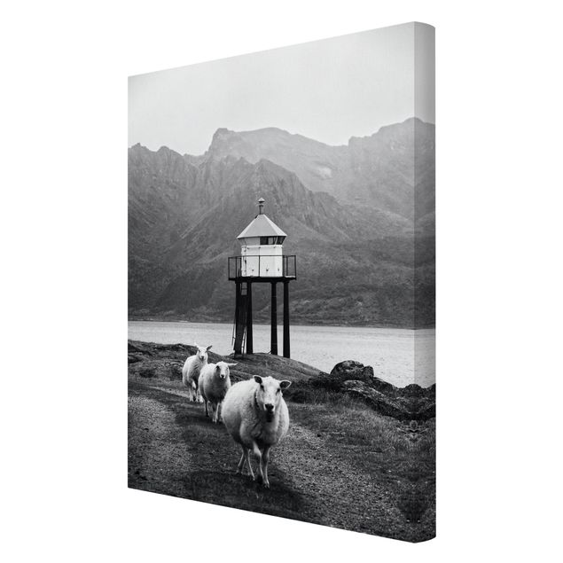 Wanddeko Treppenhaus Drei Schafe auf den Lofoten