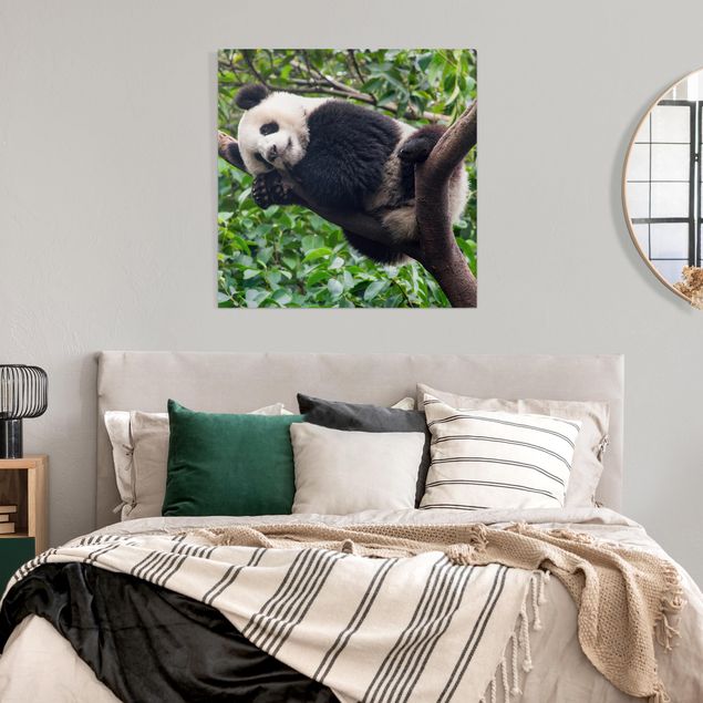 Wanddeko Flur Schlafender Panda auf Ast