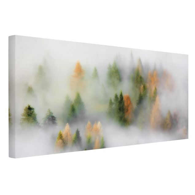 Wanddeko grau Nebelwald im Herbst