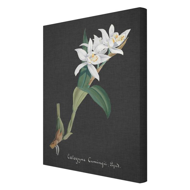 Wanddeko Esszimmer Weiße Orchidee auf Leinen II