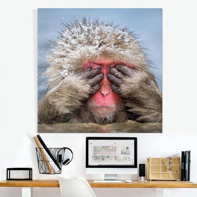 Leinwandbild Affe Japanischer Schneeaffe