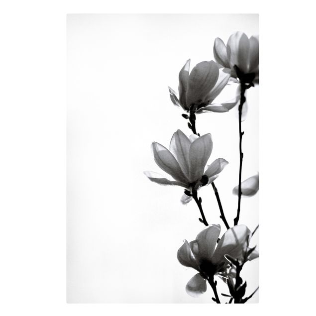 Wanddeko Büro Frühlingsbote Magnolie Schwarz Weiß