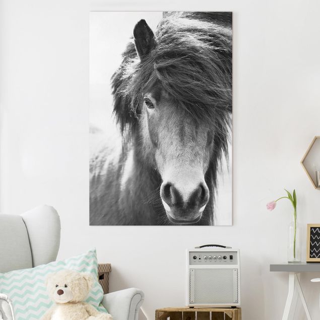 Wanddeko Wohnzimmer Island Pferd in Schwarz-weiß