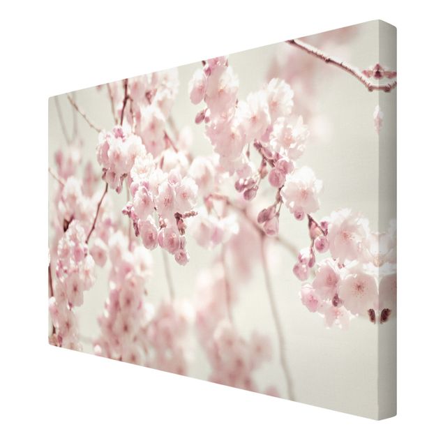 Wanddeko Büro Kirschblütentanz