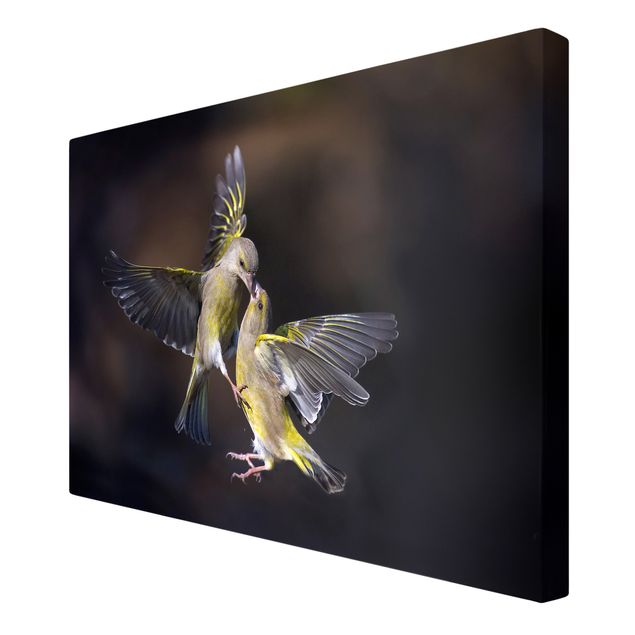 Wanddeko Büro Küssende Kolibris