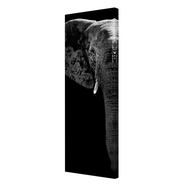Wanddeko Flur Afrikanischer Elefant schwarz-weiß